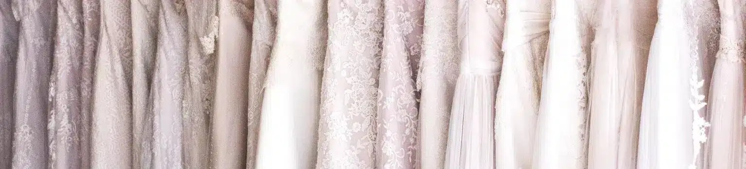 Who Should I Bring to My Dress Appointment?. Desktop Image