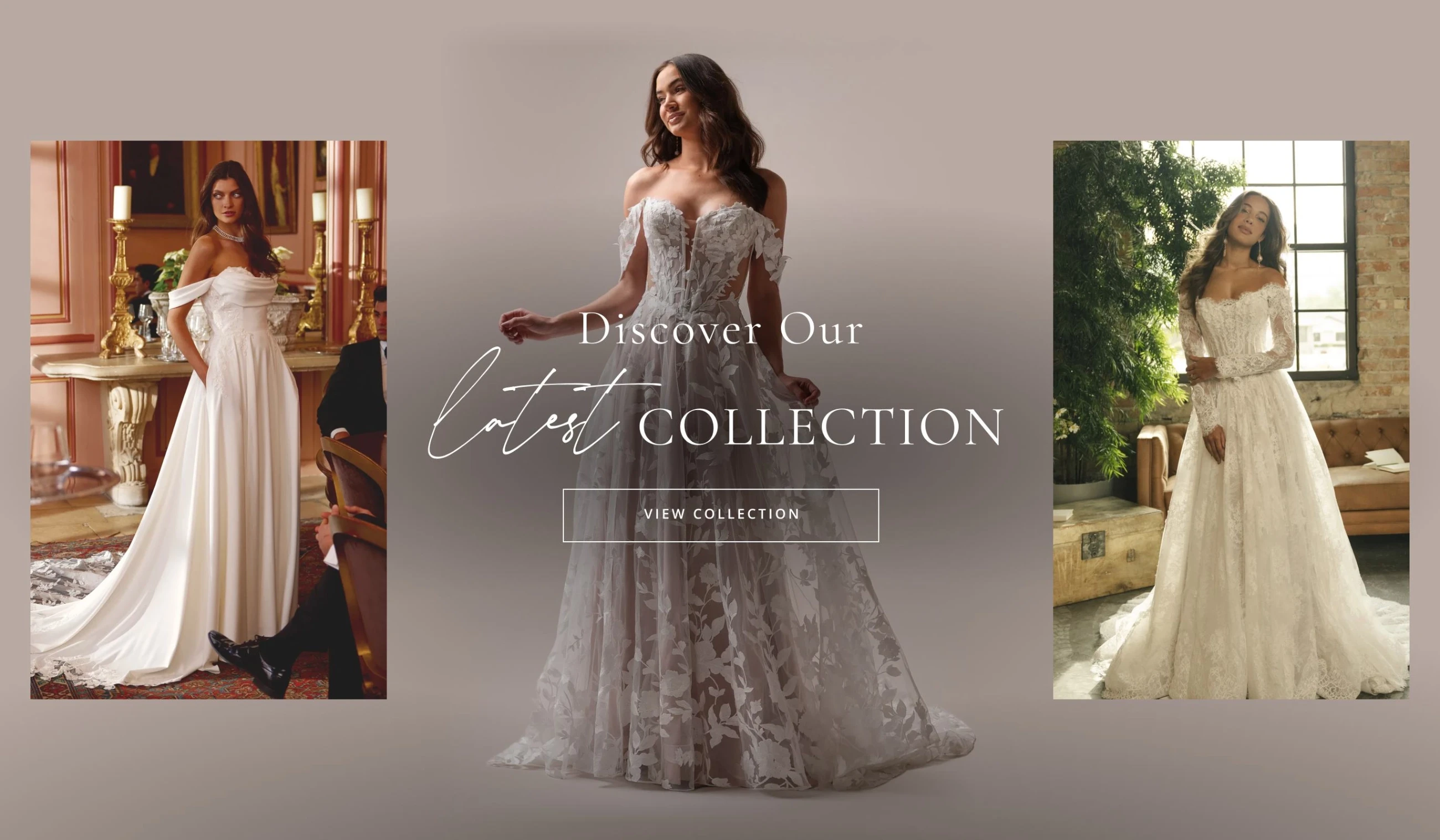 Discover Our Latest Collection