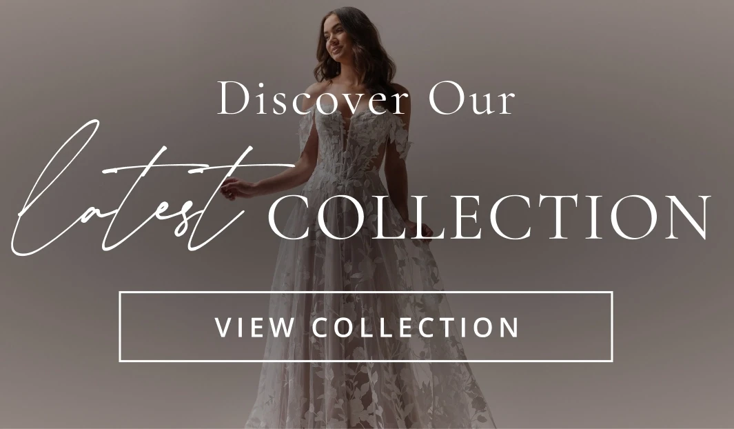 Discover Our Latest Collection